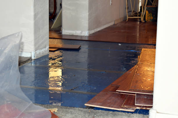 Professional Sewage Cleanup technician working in Twilight, WV